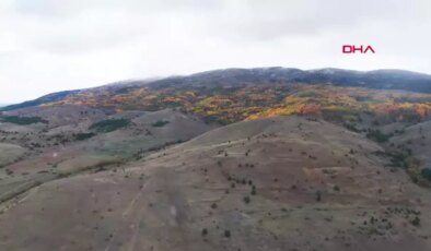 Erzincan Dağları Sonbahar Güzellikleriyle Büyülüyor